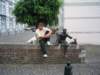 Photo Number 1